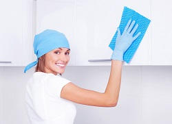 Domestic Cleaners in London
