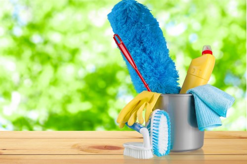 Professional rug cleaning service for Hirecarpet homes and businesses