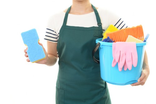 Deep cleaning a dirty oven door and glass in Hirecarpet