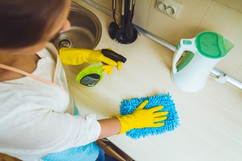 Local window cleaner working on residential windows in Hirecarpet