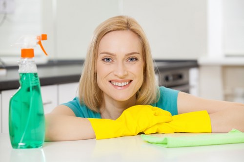 Illustration representing accessible website content for Hirecarpet Cleaners users