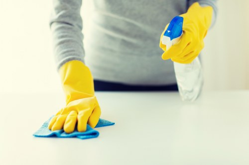 Local cleaning company serving homes and businesses in Hirecarpet