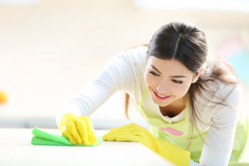 Detailed post-construction dust removal in a Hirecarpet property