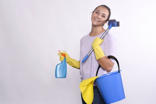 Hirecarpet cleaning service checklist and booking preparation