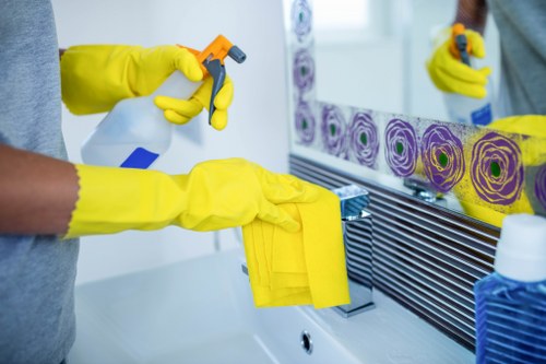Professional exterior window cleaning for a business in Hirecarpet