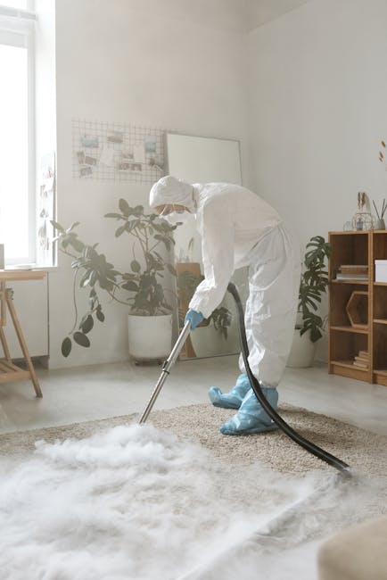 DIY versus professional carpet cleaning what homeowners should know