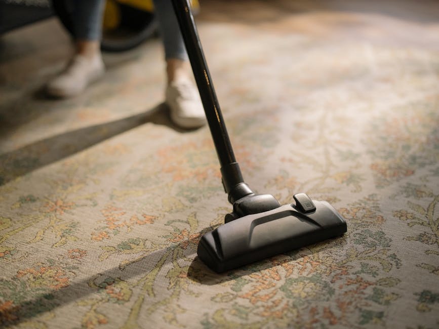 How to secure same day carpet cleaning slots without hidden fees